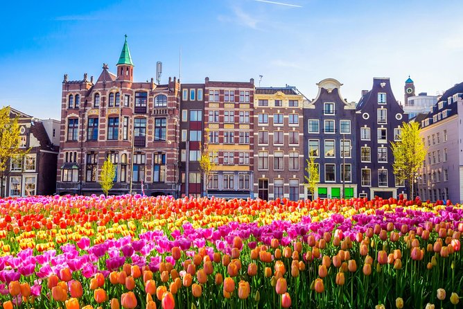 Amsterdam Day Trip from Brussels - Who This Day Trip Is Best For (and Who Might Feel Crunched)
