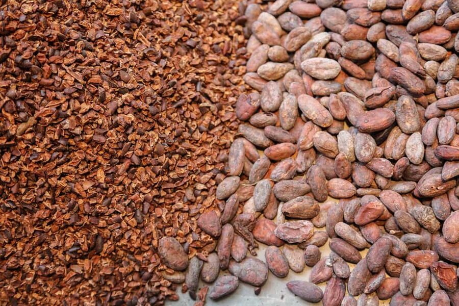 Brussels: Chocolate Appreciation and Tasting Walking Tour - Should you book this Brussels chocolate tour?