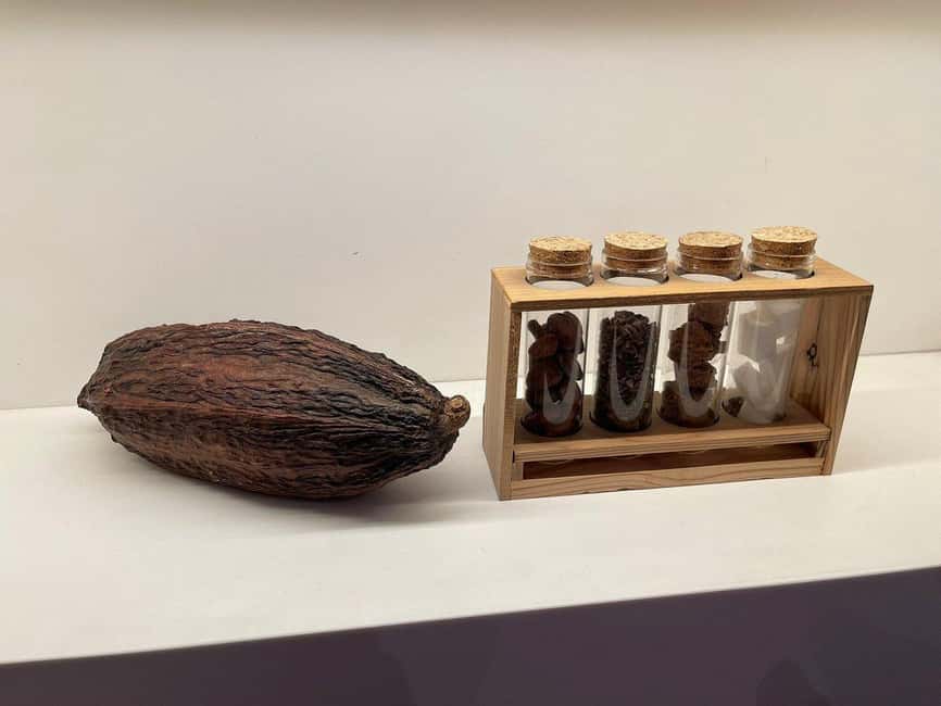 Brussels: Chocolate Appreciation and Tasting Walking Tour - Where the tour starts: Royal Galleries of Saint Hubert
