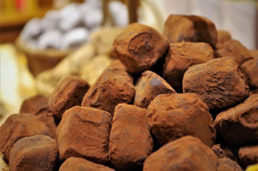 Brussels: Chocolate Workshop and Guided Walking Tour - The 10 Tastings at Chocolatiers: How to Taste Like You Actually Mean It