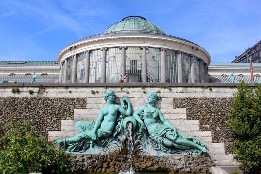 Brussels: City Card with Hop-On Hop-Off Bus - Discounts Beyond Museums: Attractions, Tours, Food, and Shops
