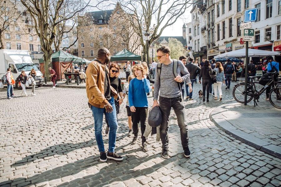 Brussels Comics & Street Art: Private Walking Tour - Brüsel and Manga stores: the fandom spectrum in two quick stops
