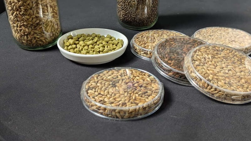 Brussels: micro brewery & distillery tour + beer tasting - Inside Tipsy Tribe: what the guided walkthrough is really about