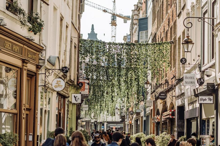 Brussels: Private Tour of the European Quarter - Art Nouveau Streets, Cafés, and Courtyards You’d Miss on Your Own