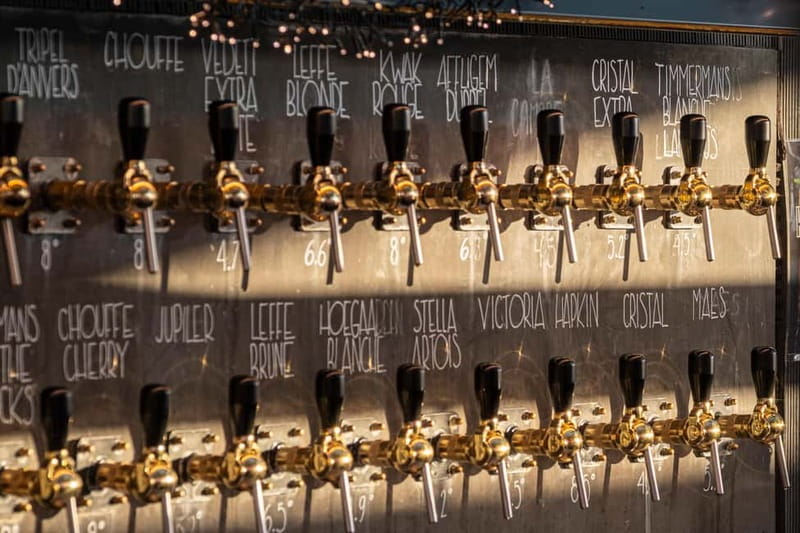 Brussels: The Belgian Beer World Experience & Beer Tasting - Who This Brussels Beer Experience Is Best For
