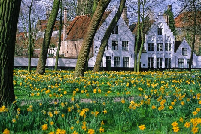 Brussels to Bruges: Private & Personalized Day Trip with a Local - Key points worth knowing before you go