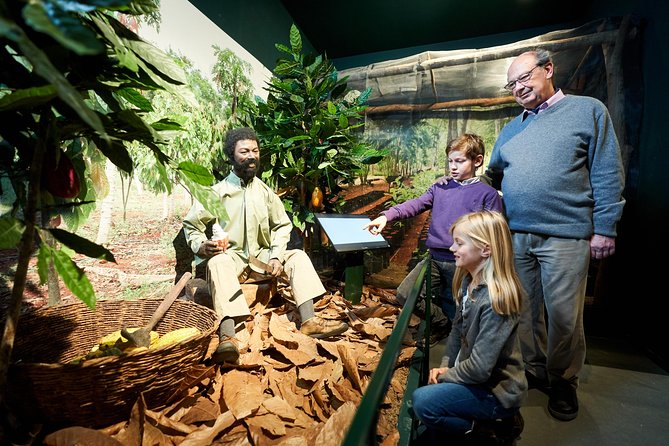 Choco-Story: The Chocolate Museum in Brussels - Audio guide rooms: history of cocoa, Belgian chocolate, and what you’ll notice
