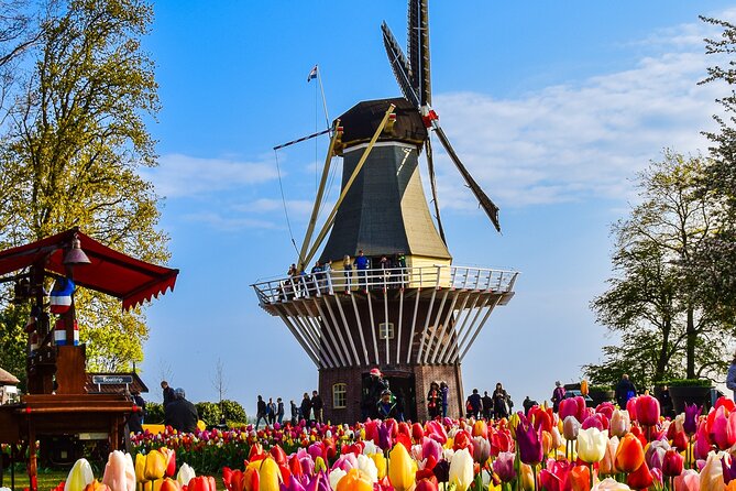 Delft and Keukenhof Gardens Tour from Brussels - Coach Day From Brussels: How the 8:00 departure shapes your whole schedule