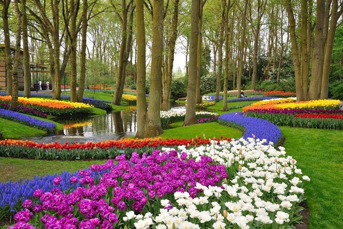 Delft and Keukenhof Gardens Tour from Brussels - Keukenhof: How to make three hours feel like a full flower day