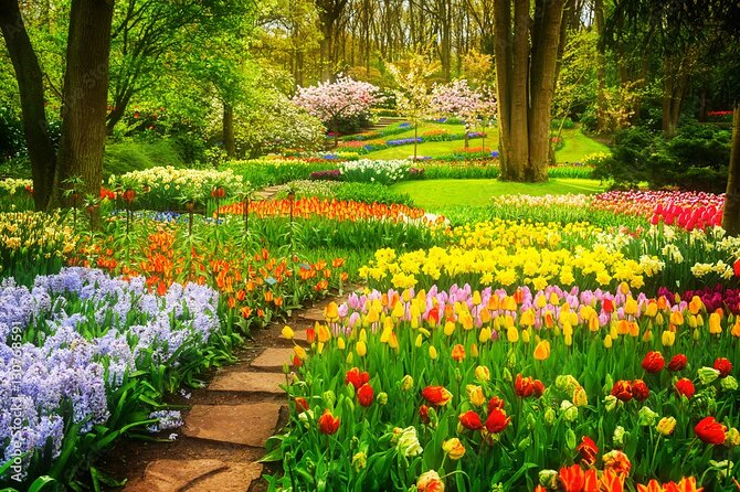 Delft and Keukenhof Gardens Tour from Brussels - The guide factor: why Stefan and Veronica came up again and again