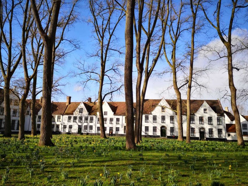 From Brussels: Bruges Day Trip with Boat Tour Option (ES) - Price and value: why $50 can feel fair for a guided day