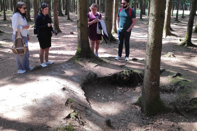 Historic Battle of the Bulge Sites Tour from Brussels - Stop 2: Bastogne War Museum and the Mardasson Memorial