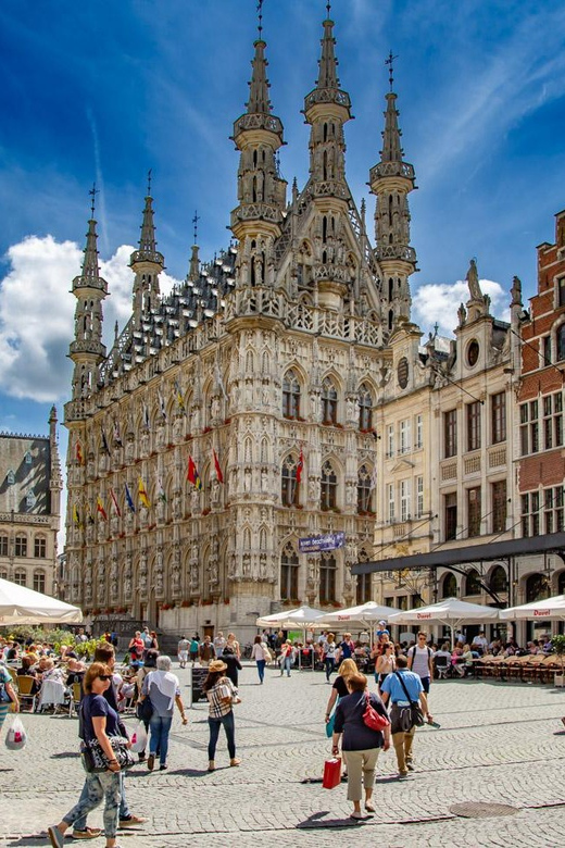 Historical Leuven: Private Walking Tour with a Local Guide - Languages and Group Setup: So You Can Actually Enjoy It