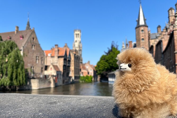 Private Full-Day Tour Bruges & Ghent from Brussels with tastings - Ghent: a human-scale city with beer tasting and optional boat views